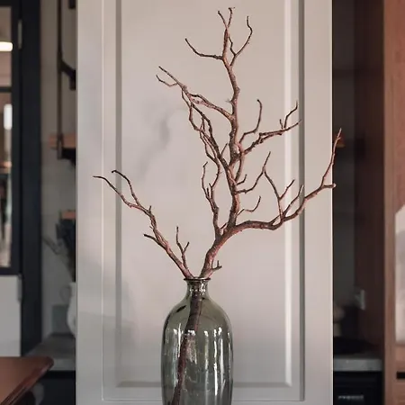 Teruar 호텔 울라