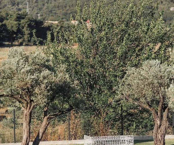 Teruar * Urla